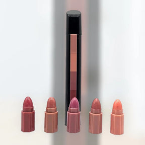 5 in 1 Matte Waterproof Lipstick Set